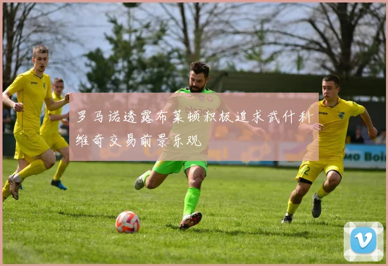 罗马诺透露布莱顿积极追求武什科维奇交易前景乐观
