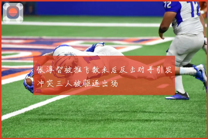 张淳智被推飞数米后反击对手引发冲突三人被驱逐出场
