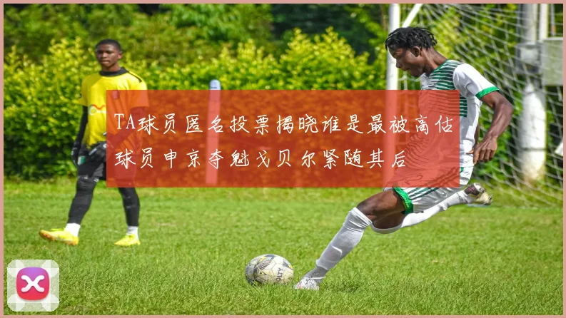 TA球员匿名投票揭晓谁是最被高估球员申京夺魁戈贝尔紧随其后